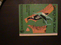 DESANKA MAKSIMOVIĆ - PTICE NA ČESMI