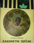 Ivan Kušan - Zagonetni dječak