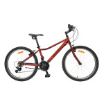 Bicikl Spring Cortina 2435 — AKCIJA 13%
