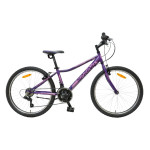 Bicikl Spring Cortina 2435 — AKCIJA 13%