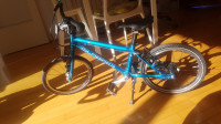 Dječji bicikl Islabikes cnoc 16inch limited edition - unisex boja