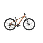 Dječji bicikl Scott Roxter 600