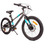 Dječji bicikl Verdant Alder 20" sivo-plavi