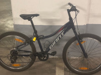 Giant XTC Jr 24