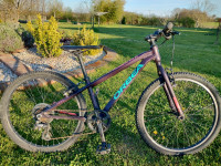 Orbea MX24 Dirt djeci bicikl