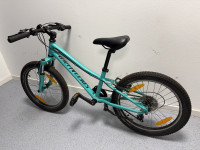 Specialized 20"
