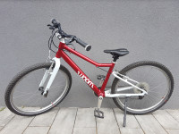 Woom 5 – Anniversary Red (kao nov)