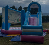 DVORAC NA NAPUHAVANJE DELFINI