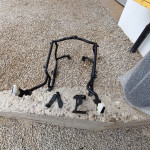 Nosaci monkey za versys