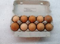 Prodajem domaća jaja - 2€/10 komada