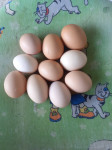 Prodajem domaća kokošja jaja, cijena deset jaja 10 kn