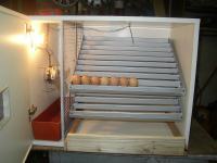 Automatski inkubator za svu perad (nije električna kvočka)