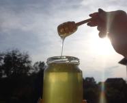 Domaći med vidi opis...