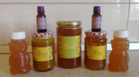 Med i pčelinji proizvodi sa vlastitog pčelinjaka sa dostavom