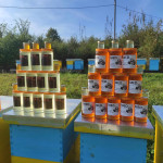 MED na veliko i malo