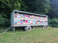 prodajem med na veliko,bagrem,  lipa i cvijetni