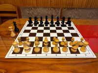 World Chess / FIDE šahovski set