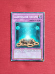 Yu-Gi-Oh - Accumulated Fortune, CDIP-EN057