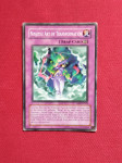 Yu-Gi-Oh - Ninjitsu Art of Transformation, DR2-EN164