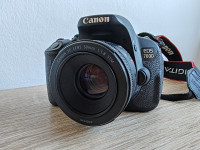 Canon 700D + 50mm 1.8.