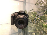 CANON EOS 1000D s Canon EF-S 60mm 2.8 USM macro. R1/ RATE!