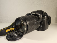 NIKON D7500 + Nikkor 18-140mm f/3.5-5.6 + Nikkor 50mm f/1.8