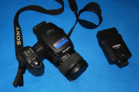 Sony DSC-R1   10 Mpx APS-C CMOS, 24-120mm 5X zoom