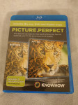 Blu Ray - Picture Perfect
