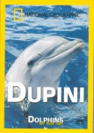 DUPINI - DOLPHINS the Wild side NATIONAL GEOGRAPHIC