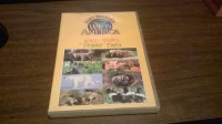 DVD WILD AMERICA WACKY BABIES TENDER TIMES