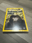 Neukroćeni život gorila DVD
