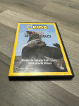 NG KIDS DVD