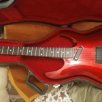 HOHNER PROFESIONAL SUPERSTRAT IZ 80"g- sa koferom