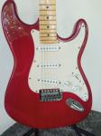 Rooster stratocaster