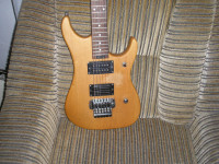 washburn N2  NUNO električna gitara