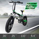 BFISPORT EB20-02F električni bicikl 36V 250W 6.4AH baterija