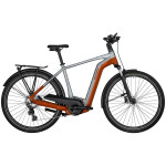 Bicikl BERGAMONT E-HORIZON EDITION LTD GENT 2024