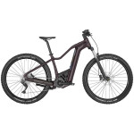 Bicikl BERGAMONT E-REVOX SPORT FMN 2024