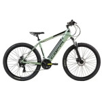 Bicikl COPPI eBike 27"