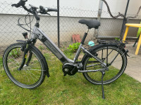 E bike električni bicikl