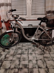 e bike