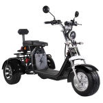 ELEKTRIČNA TROKOLICA CHOPPER AMIGO ELEKTRIČNI BUNTOVNIK 2000W CP-3