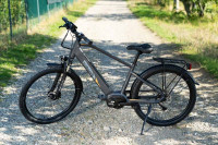 Električni bicikl Italwin Travel 250W/90Nm, 16Ah