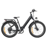 Električni bicikl Engwe E26 250W 70Nm crna niski
