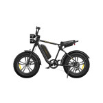 Električni bicikl Engwe M20 1000W crna 1 baterija