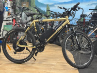 ELEKTRIČNI BICIKL ''GEPIDA'' 26''