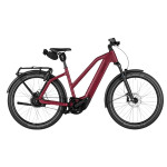 Električni bicikl Riese & Müller CHARGER5 MIXTE 800Wh