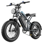 Električni bicikl T1 EKX