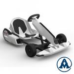 Električni Go-Kart Hoverboard 2/1 2x350W 54V