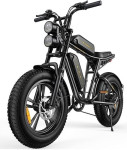 ENGWE M20 - El. bicikl s duplom baterijom 48V 26Ah (2x13), 750 W motor